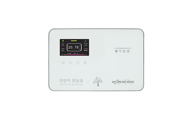 南岸弥散供氧系统终端